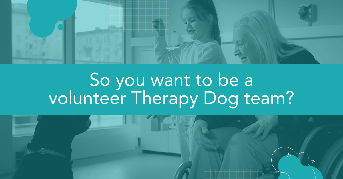 How to make your dog a Therapy Dog Sherrie Rohde