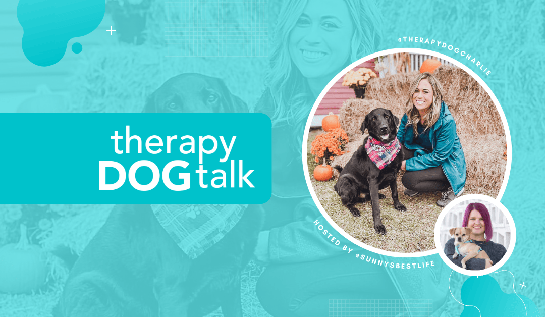 From shelter dog to school Therapy Dog with Erica and Charlie