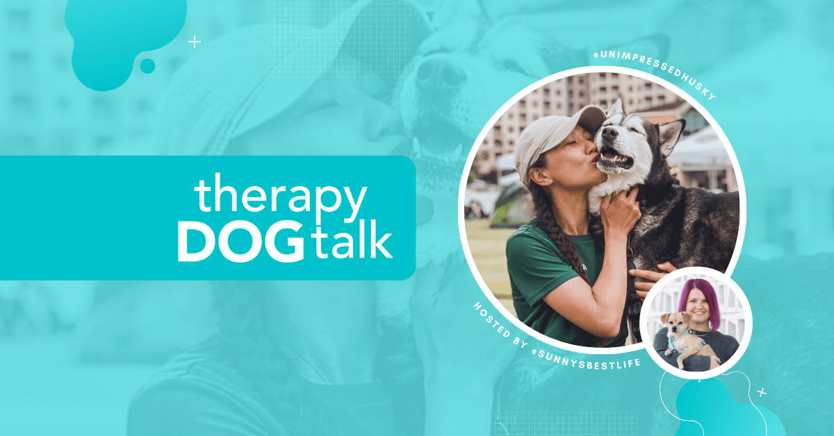 Pioneering Therapy Dog work in Korea with Jeena + Juno