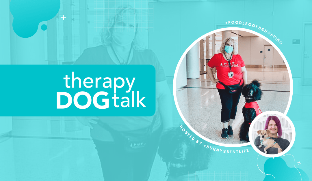 Los Angeles airport Therapy Dog team Merin and Dazu