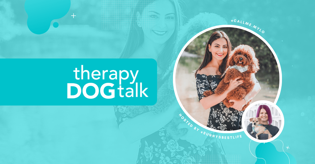 Therapy Dog testing after lockdown with Nilda and Mylo