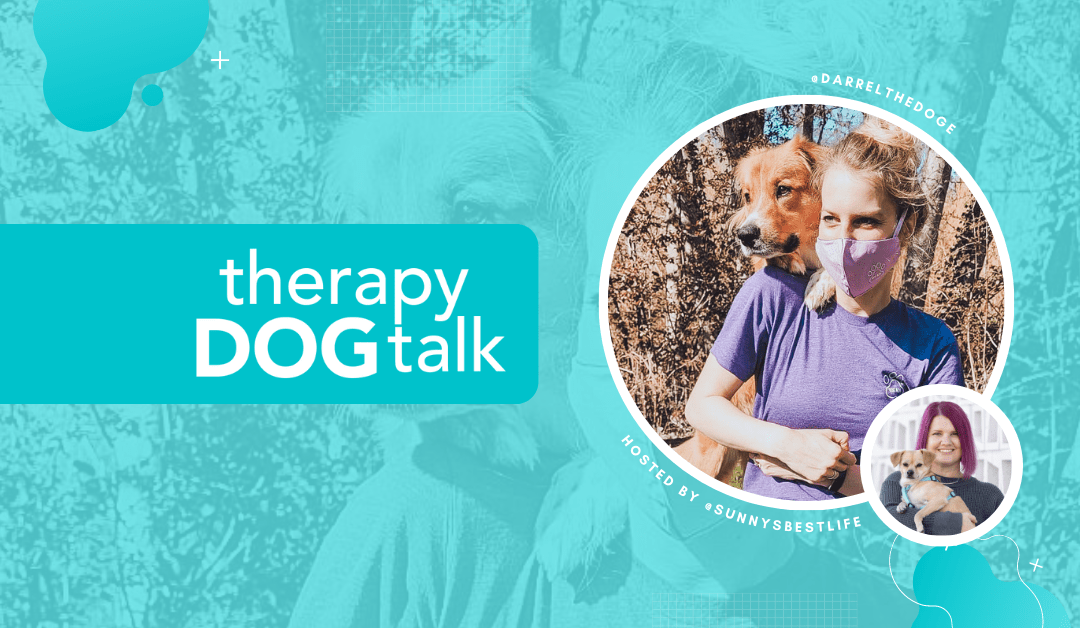 Training to be a Therapy Dog in Seattle with Hailey + Darrel
