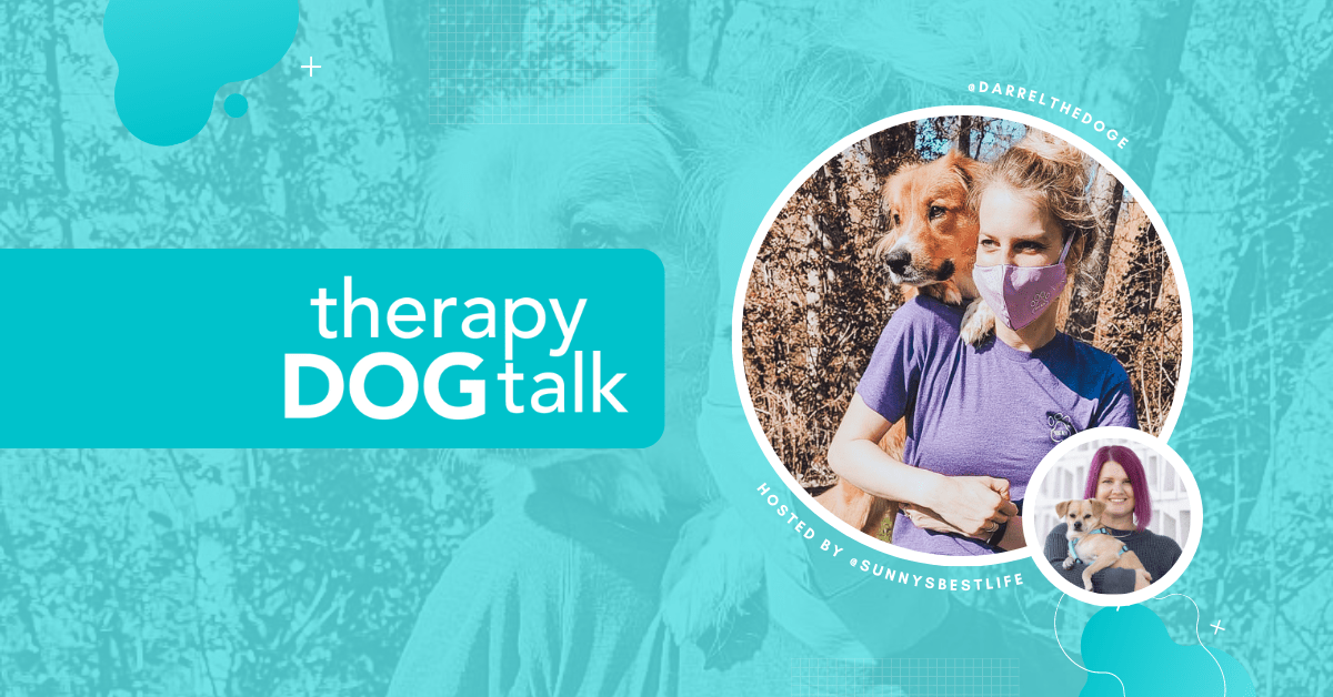 Training to be a Therapy Dog in Seattle with Hailey + Darrel