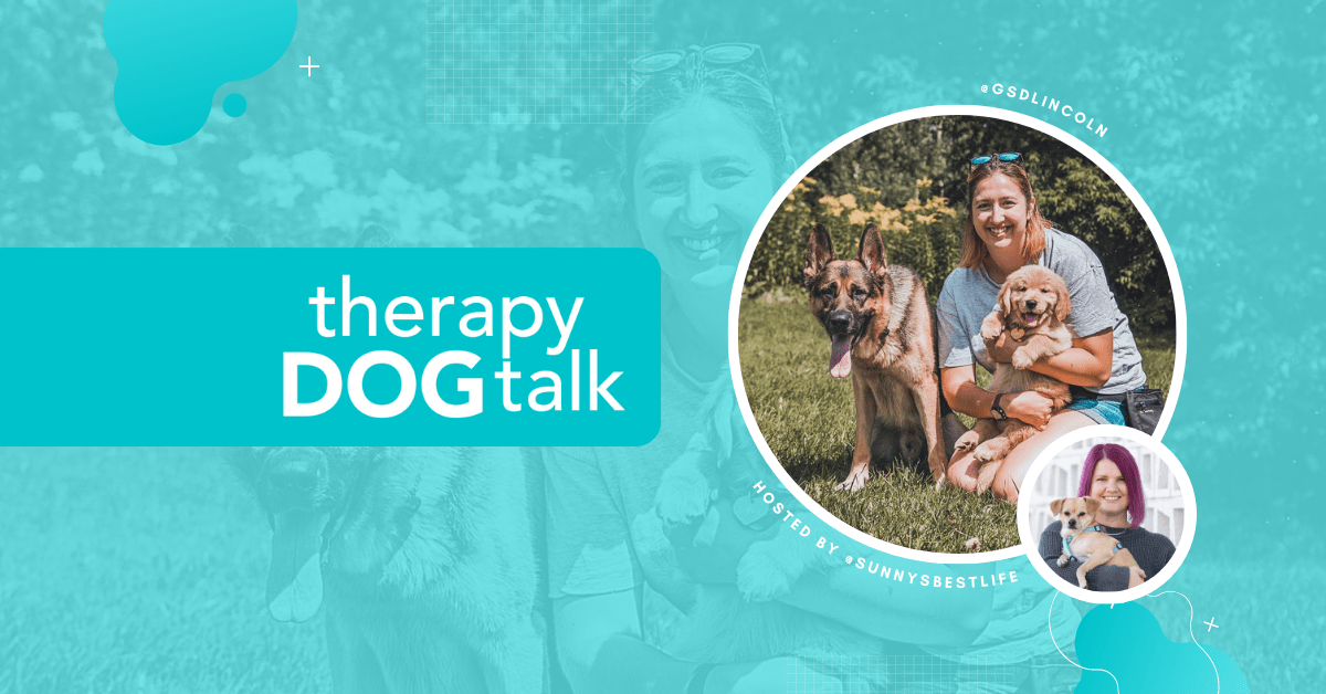 062 Practicing for Therapy Dog work with Sara and Stevie Sherrie Rohde