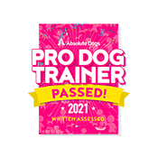 Pro Dog Trainer Pro Dog Trainer