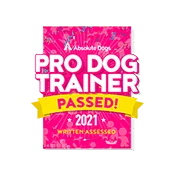 Pro Dog Trainer