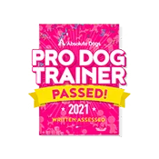 Pro Dog Trainer Pro Dog Trainer