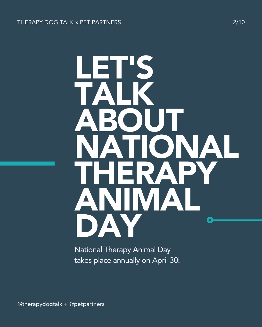 6 ways to celebrate National Therapy Animal Day
