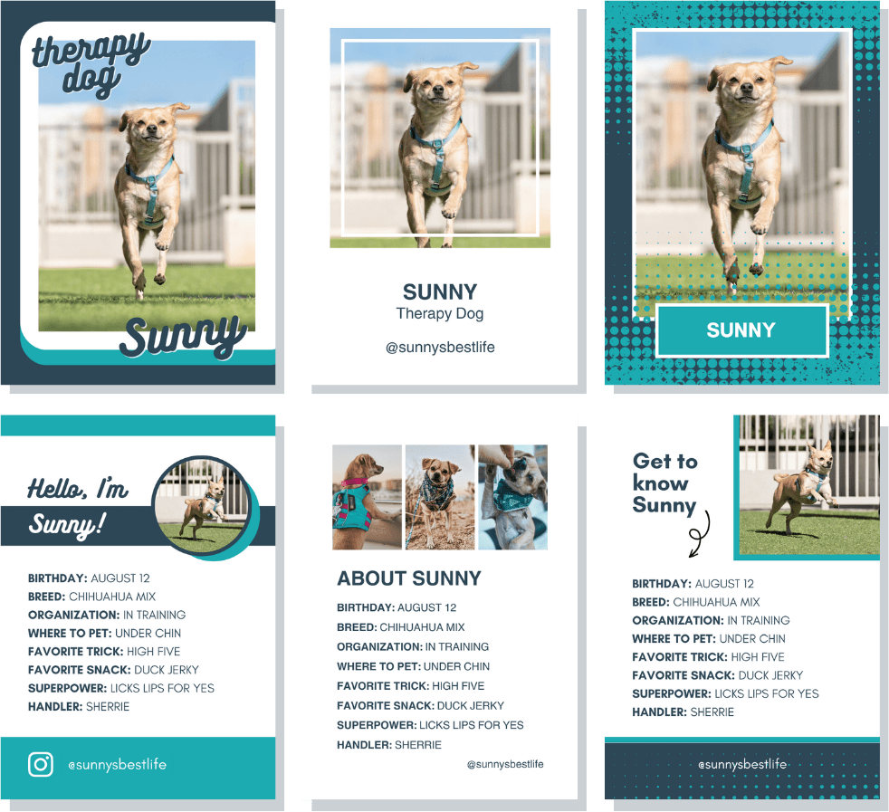 Free Canva template for Therapy Dog trading cards