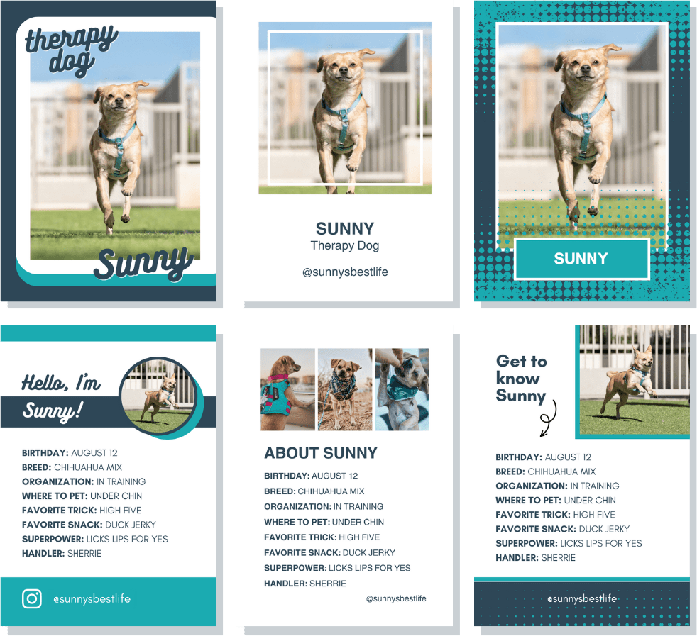 Free Canva template for Therapy Dog trading cards Free Canva template for Therapy Dog trading cards