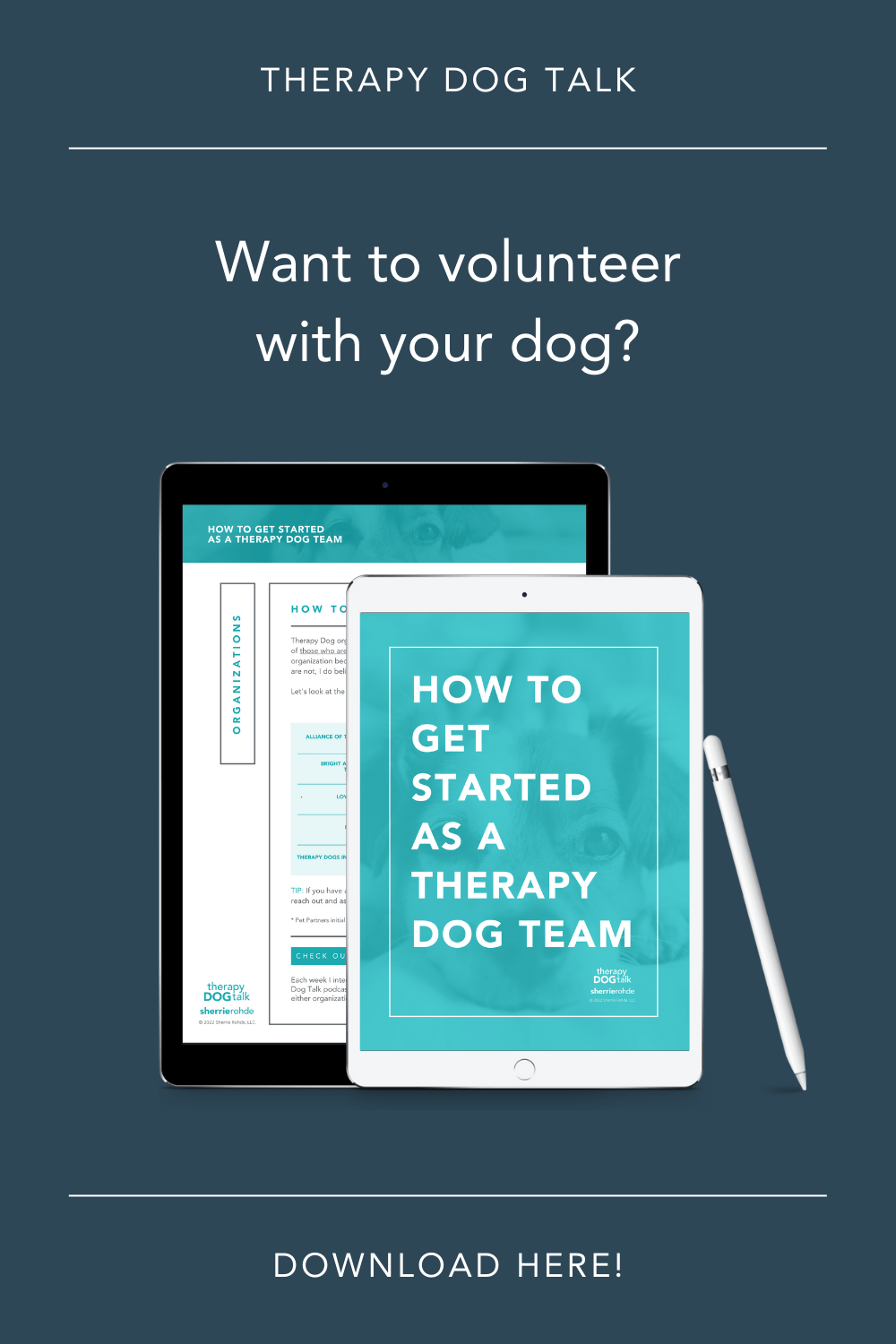 how-to-get-started-as-a-therapy-dog-team-sherrie-rohde
