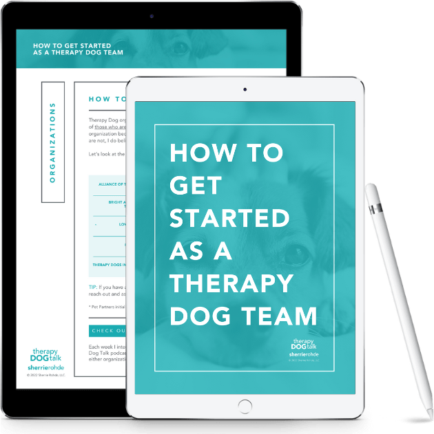 How to Get Started as a Therapy Dog Team
