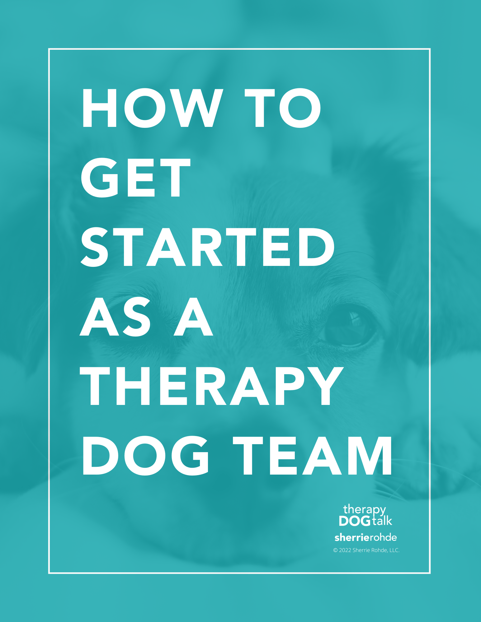 How to get started as a Therapy Dog team (Cover)