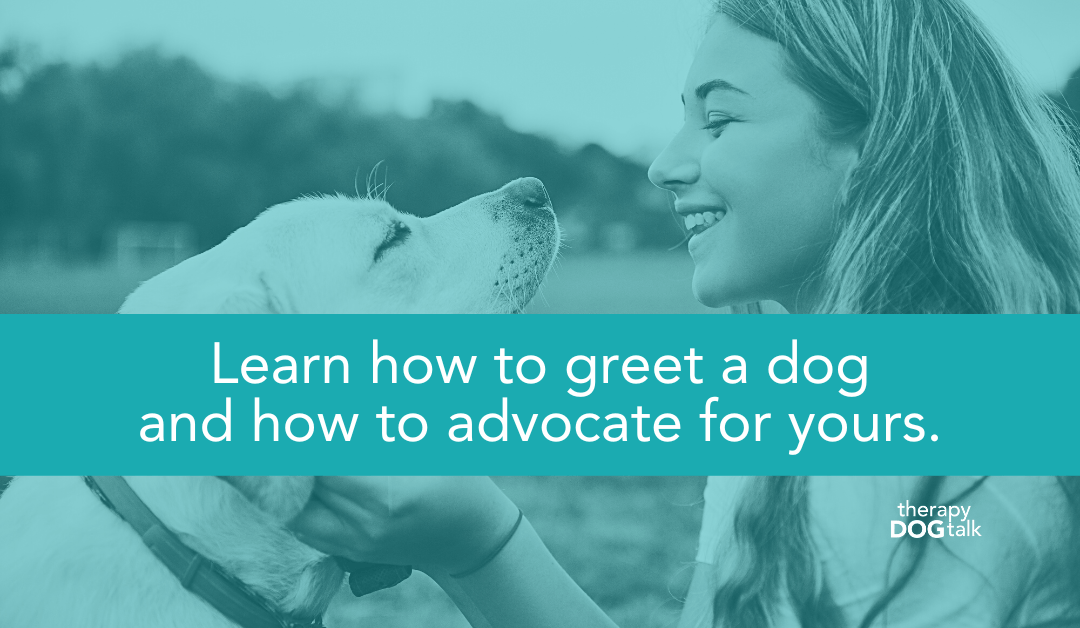 Learn how to greet a dog and how to advocate for yours