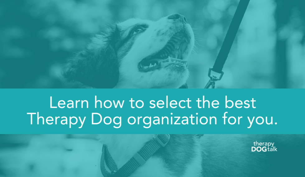 Finding the Best Therapy Dog Organization Sherrie Rohde