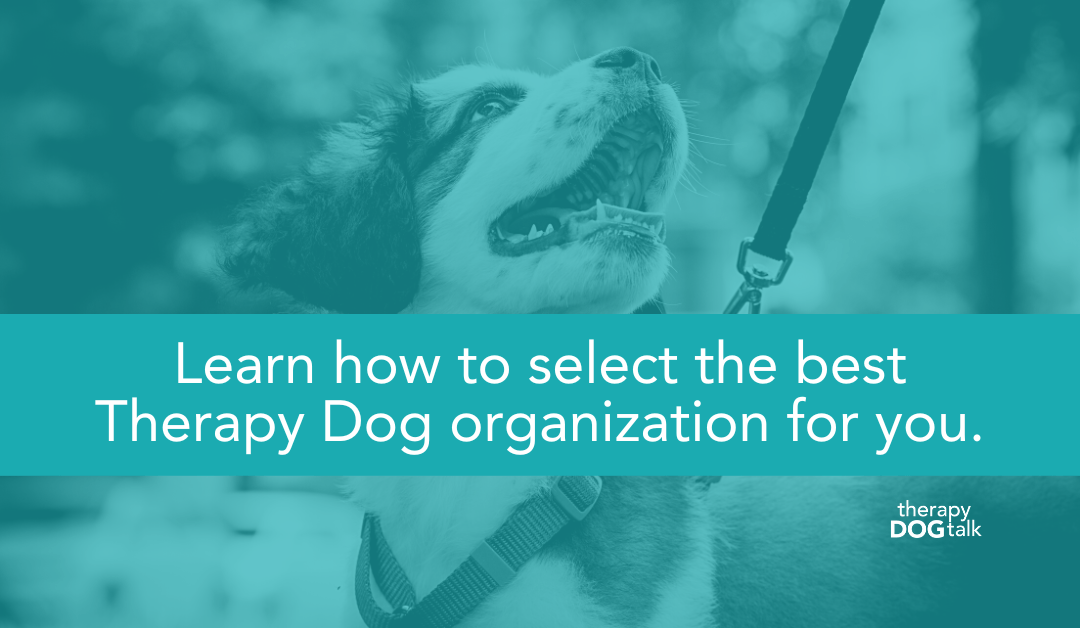 Learn how to select the best Therapy Dog organization for you