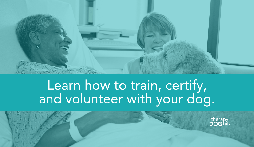 Learn how to train certify and volunteer with your dog