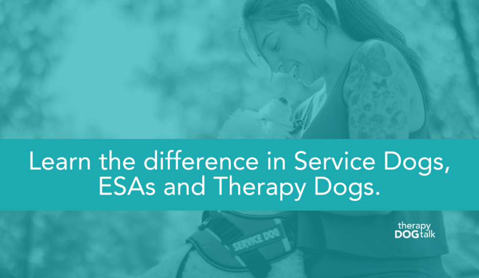 What's the difference between a Service Dog, ESA, and Therapy Dog?