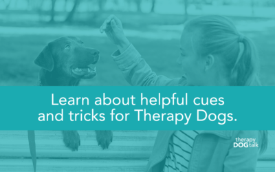 Helpful cues and tricks for Therapy Dogs