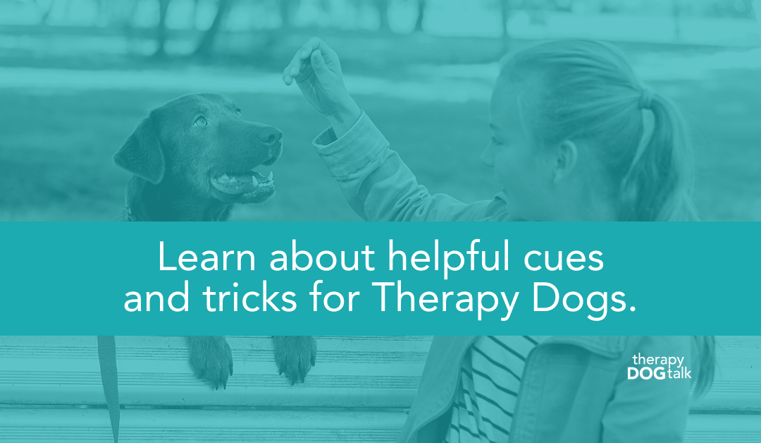 Learn about helpful cues and tricks for Therapy Dogs.