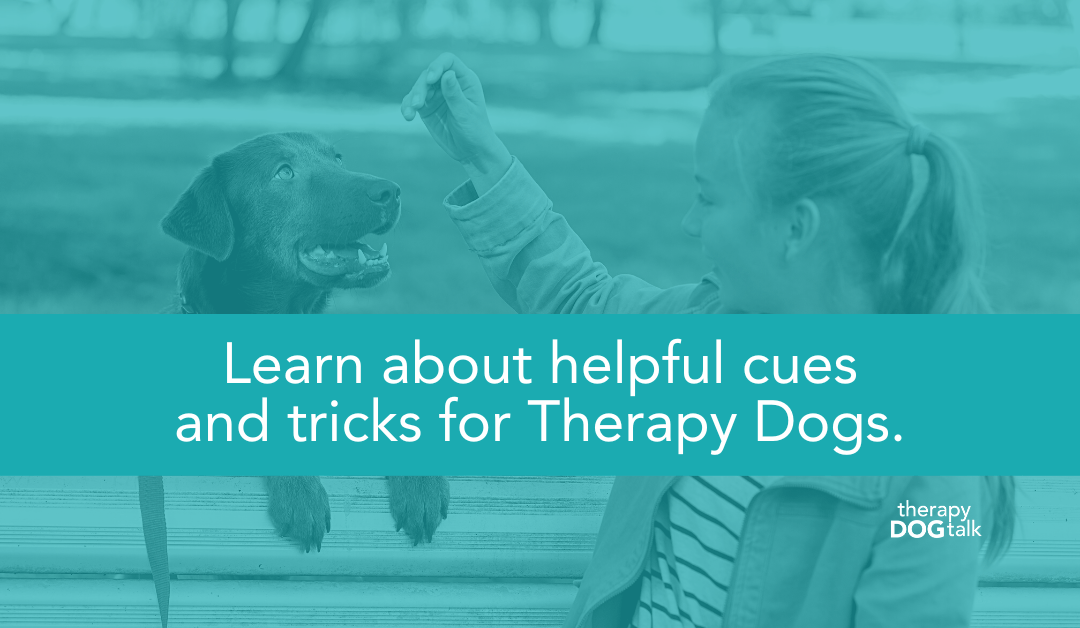 Helpful cues and tricks for Therapy Dogs