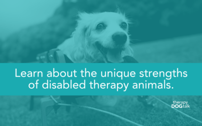 Celebrating Disabled Therapy Animals and Their Impact