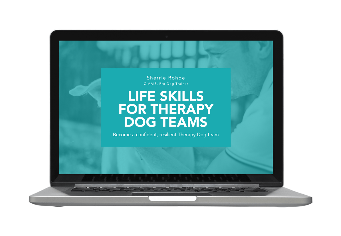 Life Skills for Therapy Dog Teams Course title on laptop screen