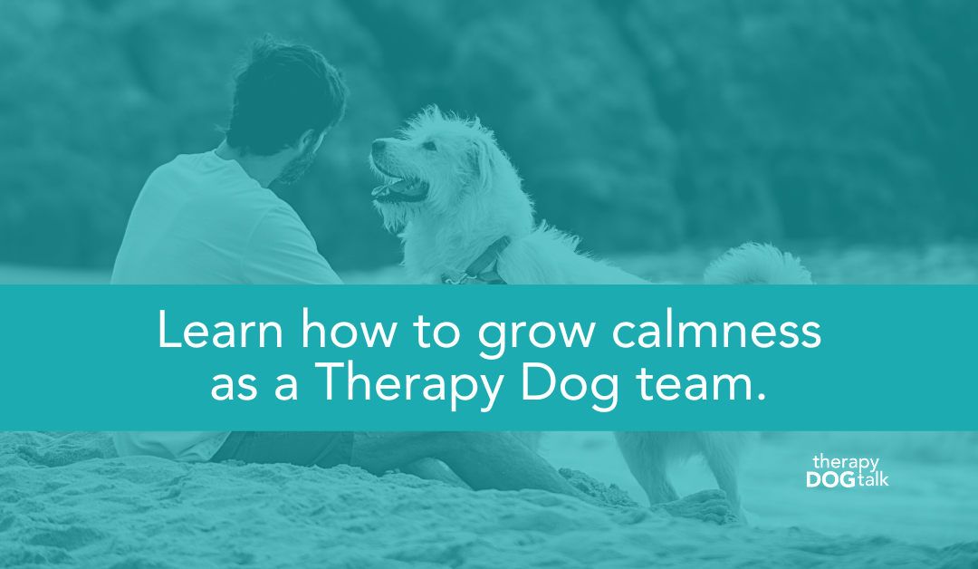 Learn how to grow calmness as a Therapy Dog team.