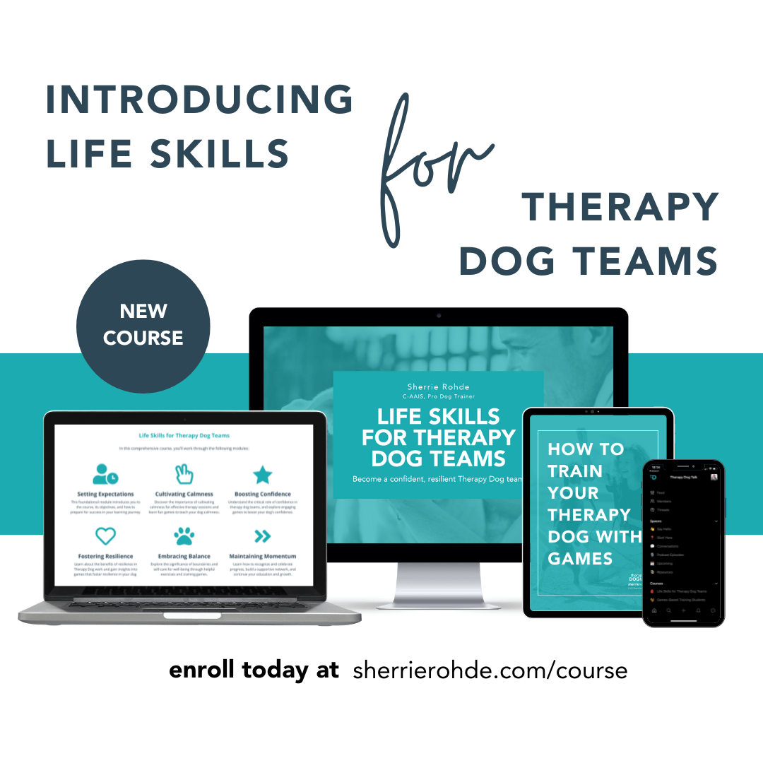 Enroll in Life Skills for Therapy Dog Teams