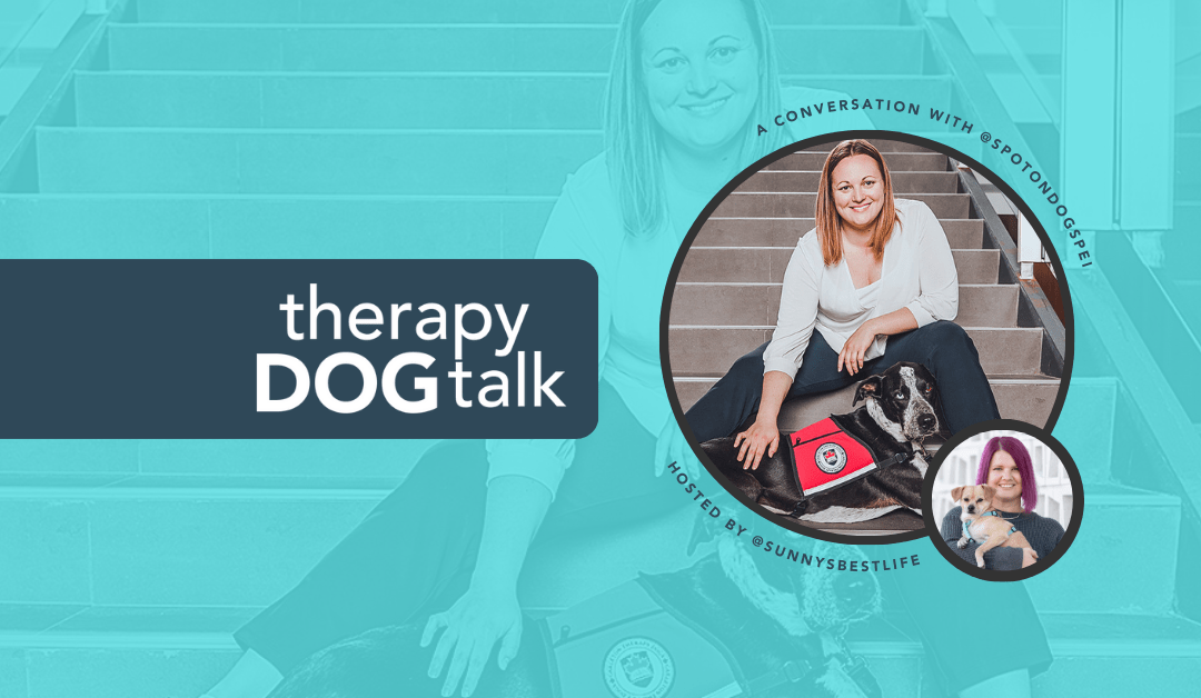 093 Therapy Dog Welfare with Shannon Noonan Sherrie Rohde